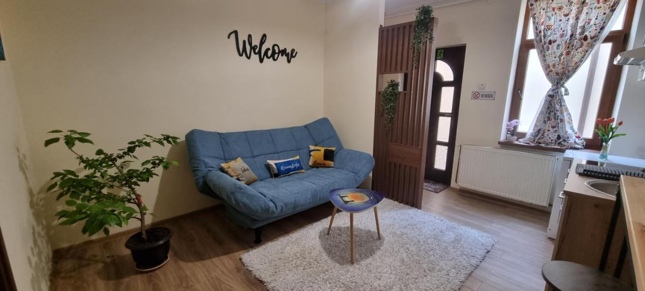 Happy Mood Apartment 5 ブラショフ エクステリア 写真