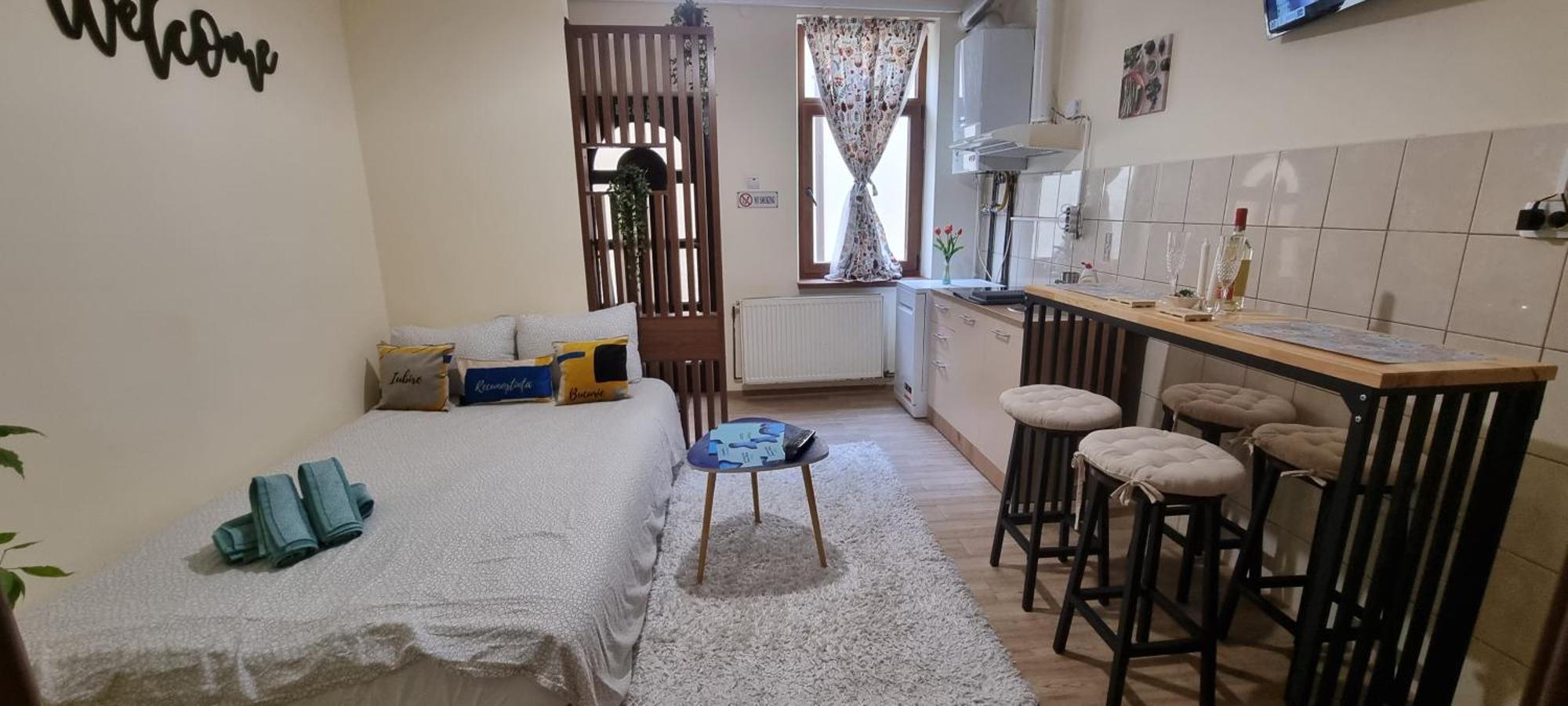 Happy Mood Apartment 5 ブラショフ 部屋 写真